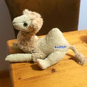 Luxor One Hump Tan Showtime 7" Camel